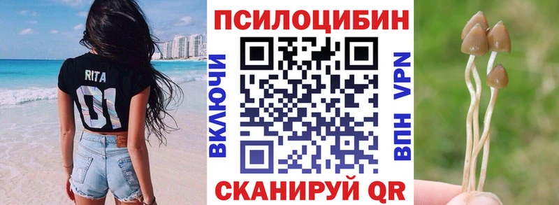 Галлюциногенные грибы Psilocybe  Купить закладки  Демидов 